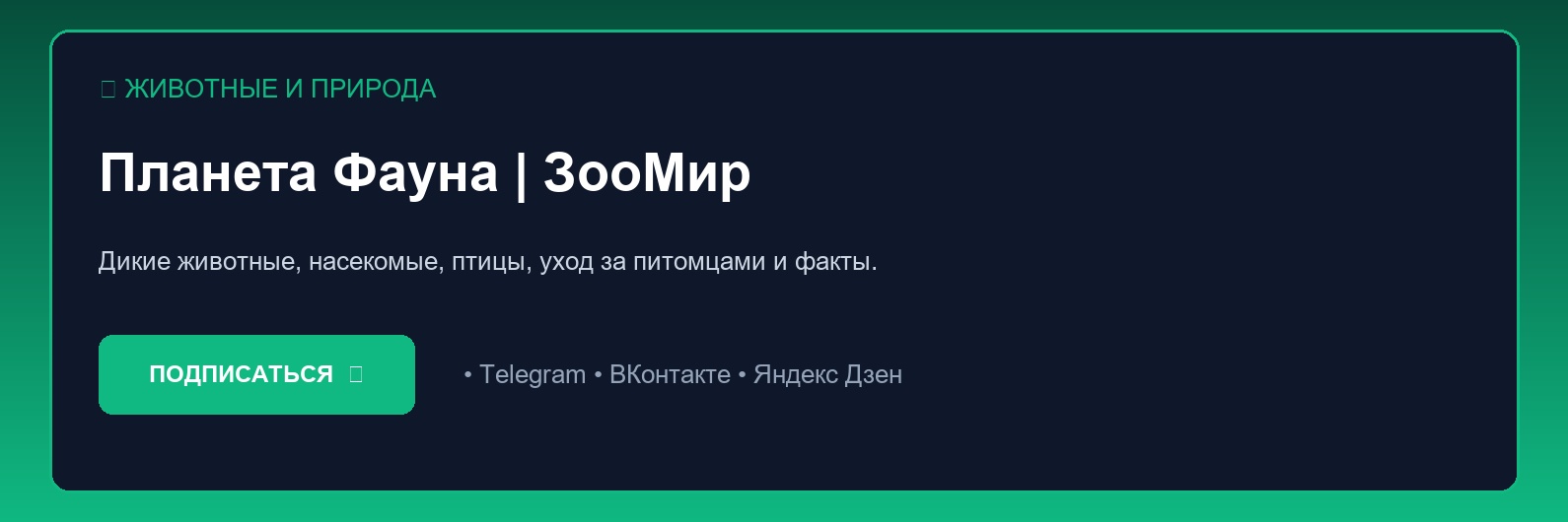 Самые ядовитые существа океана: медуза ируканджи, синекольчатый осьминог и рыба-камень