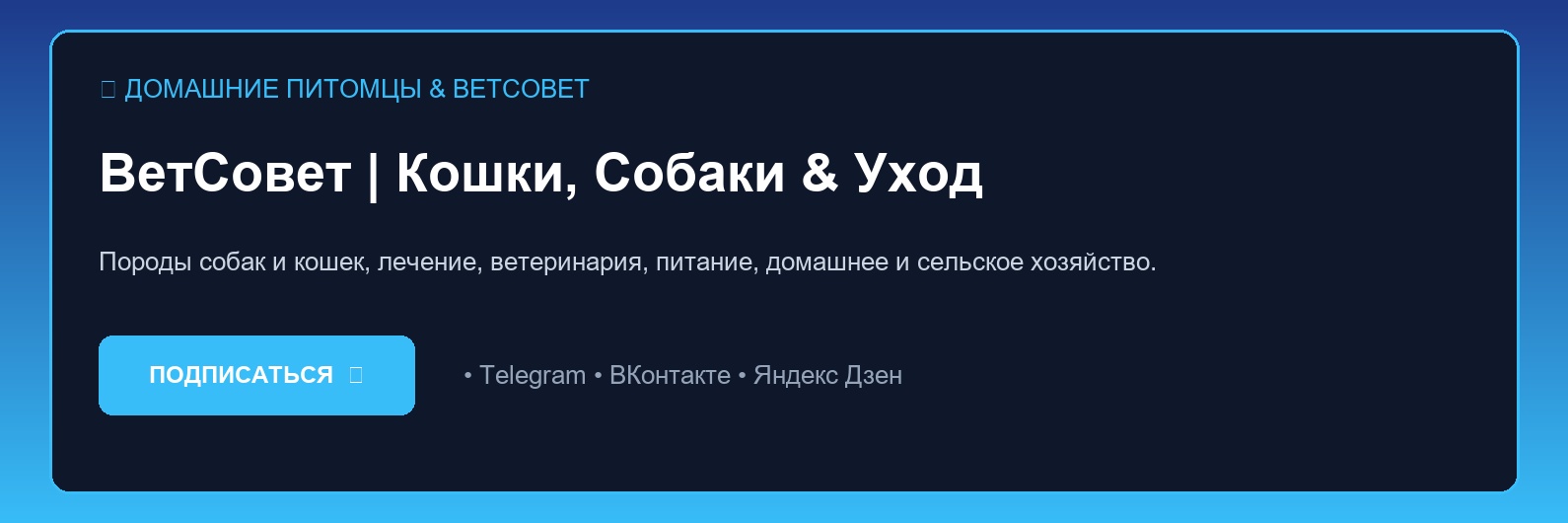 Новые тренды, законы и стандарты 2026 года в категории Домашние питомцы & ВетСовет